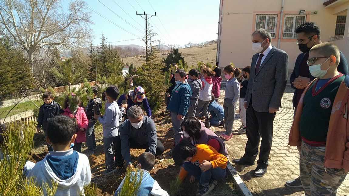 Okulumuz Bahçesine Dünya Ormancılık Günü ve Orman Haftası Dolayısıyla Fidan dikildi.
